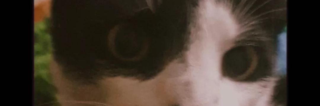 alaneze1337's profile banner image