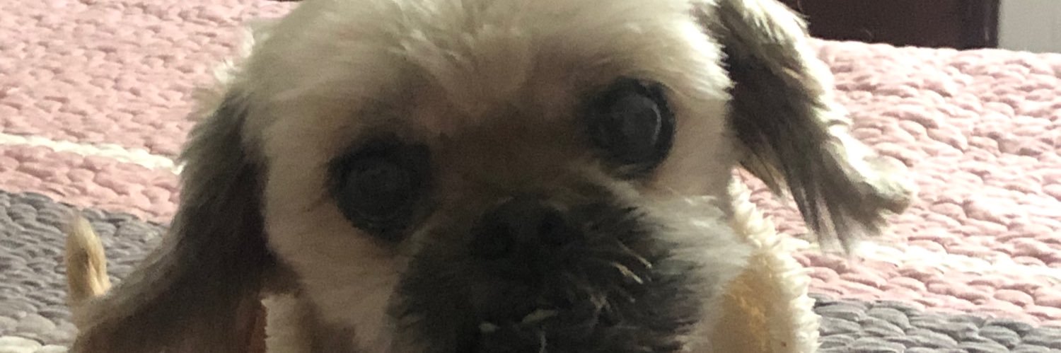 Maritza2069's profile banner image
