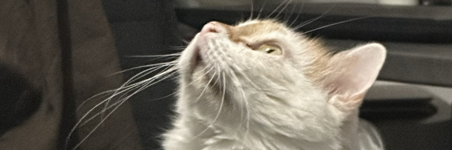 Gigie___'s profile banner image