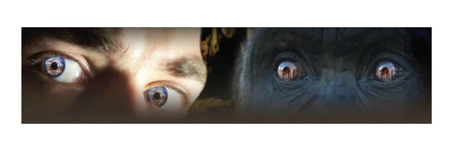 creationbloke's profile banner image