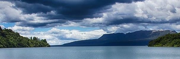 David Gall Martin banner