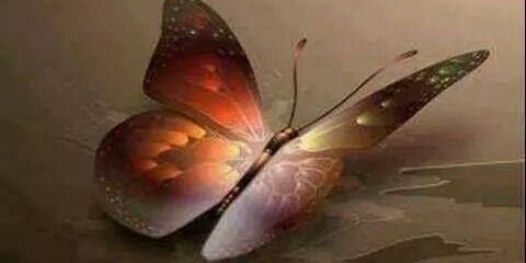 Robyn Gaye O'Connor banner