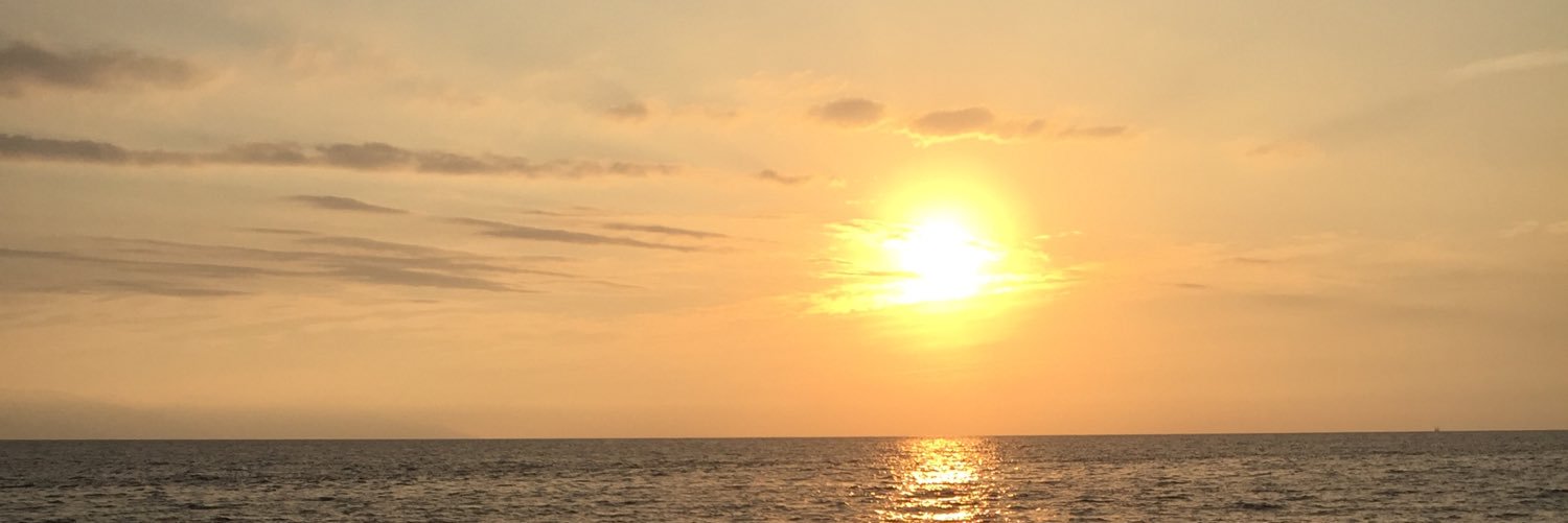agudjonson's profile banner image