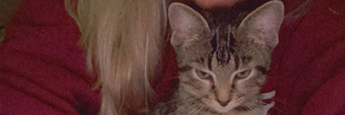 Lyssaloll's profile banner image