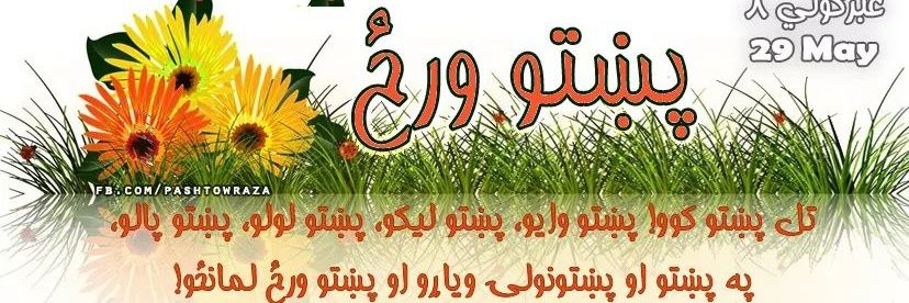 PashtoWraz's profile banner image