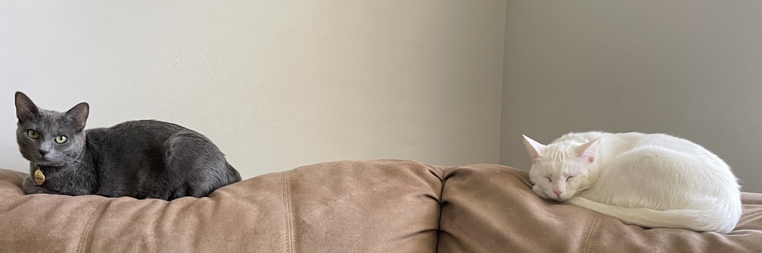 ensleymichelle's profile banner image
