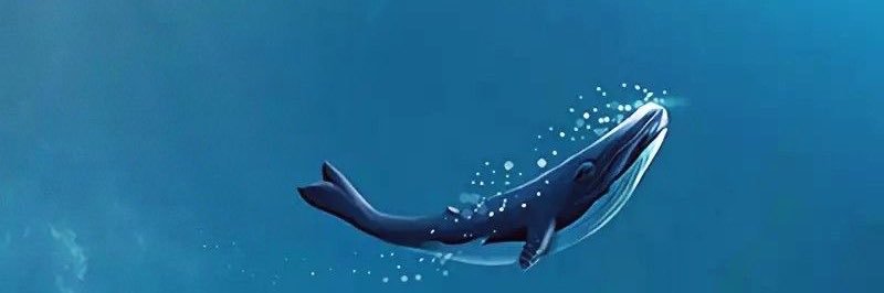 she2035's profile banner image