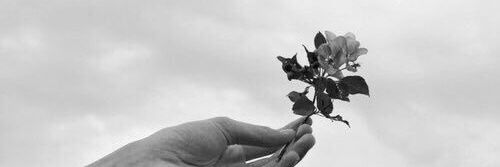 PricilaAMB's profile banner image