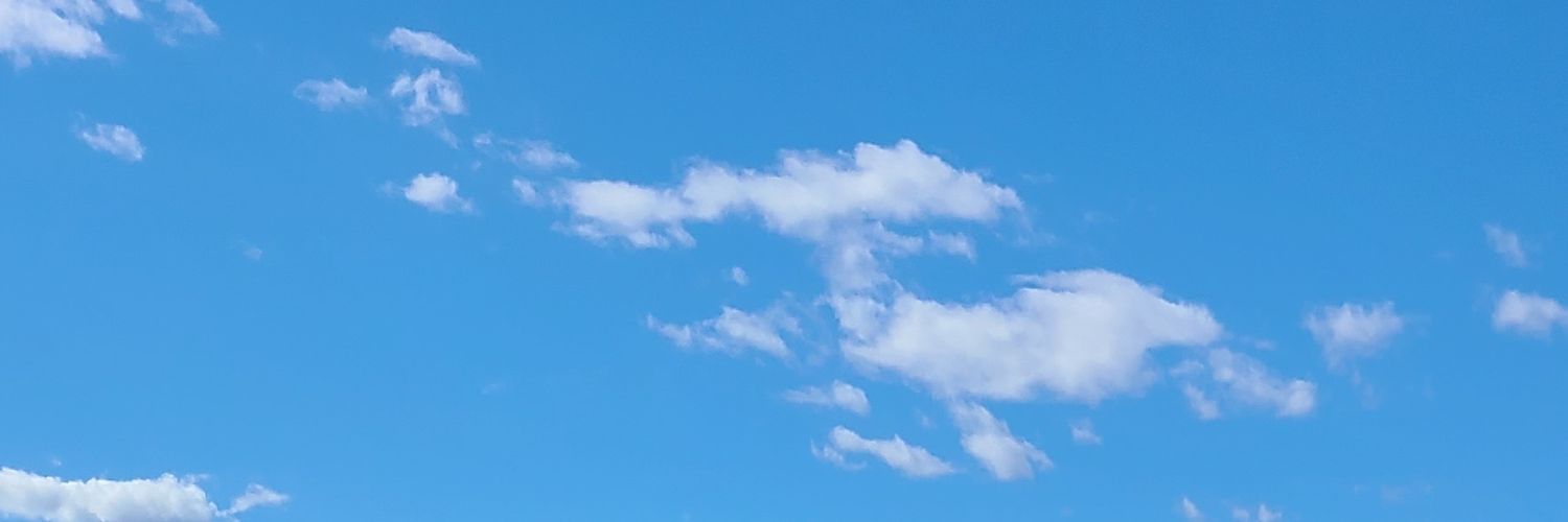 MinnieHumud's profile banner image