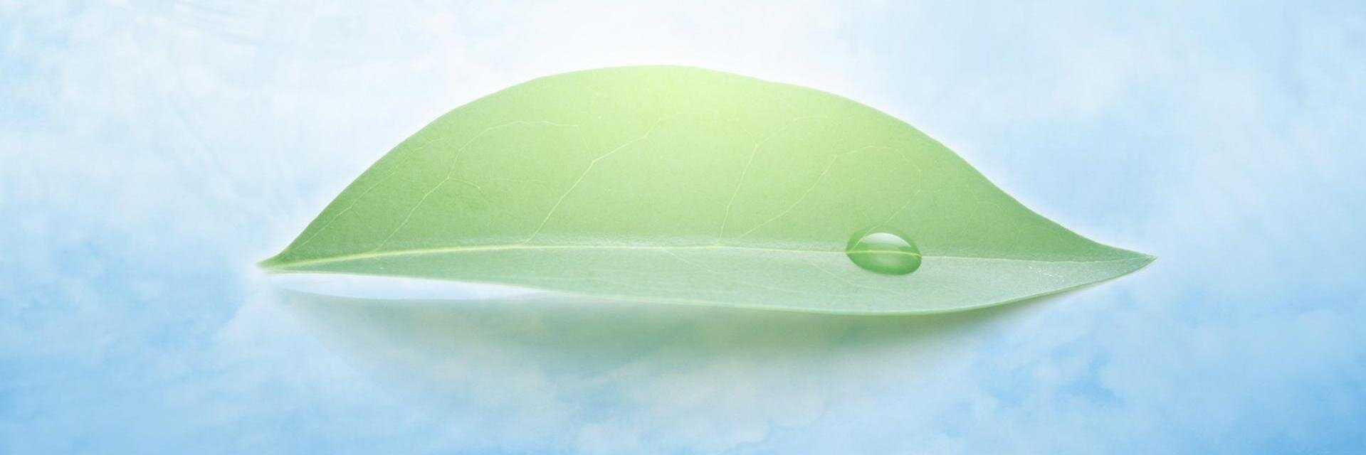 FreshCoin1's profile banner image