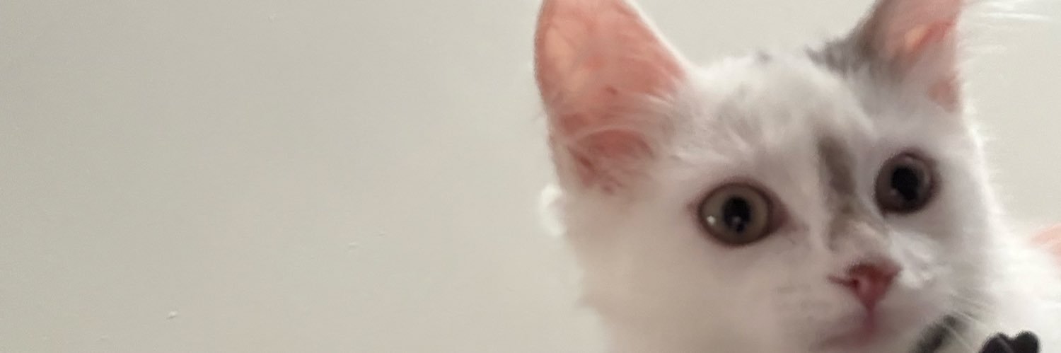 samlagocki's profile banner image