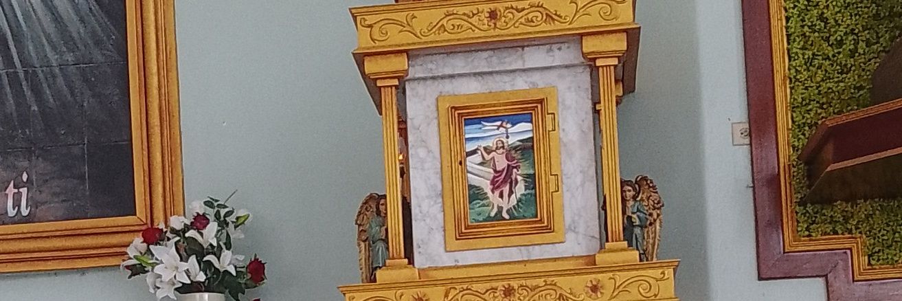 bartidjerico's profile banner image