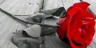 dindaclestianti's profile banner image