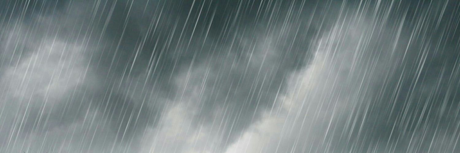 stingnes's profile banner image