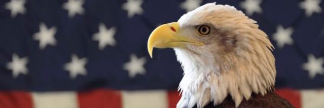 mollymoos2's profile banner image
