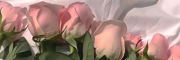 BeProvenzano's profile banner image