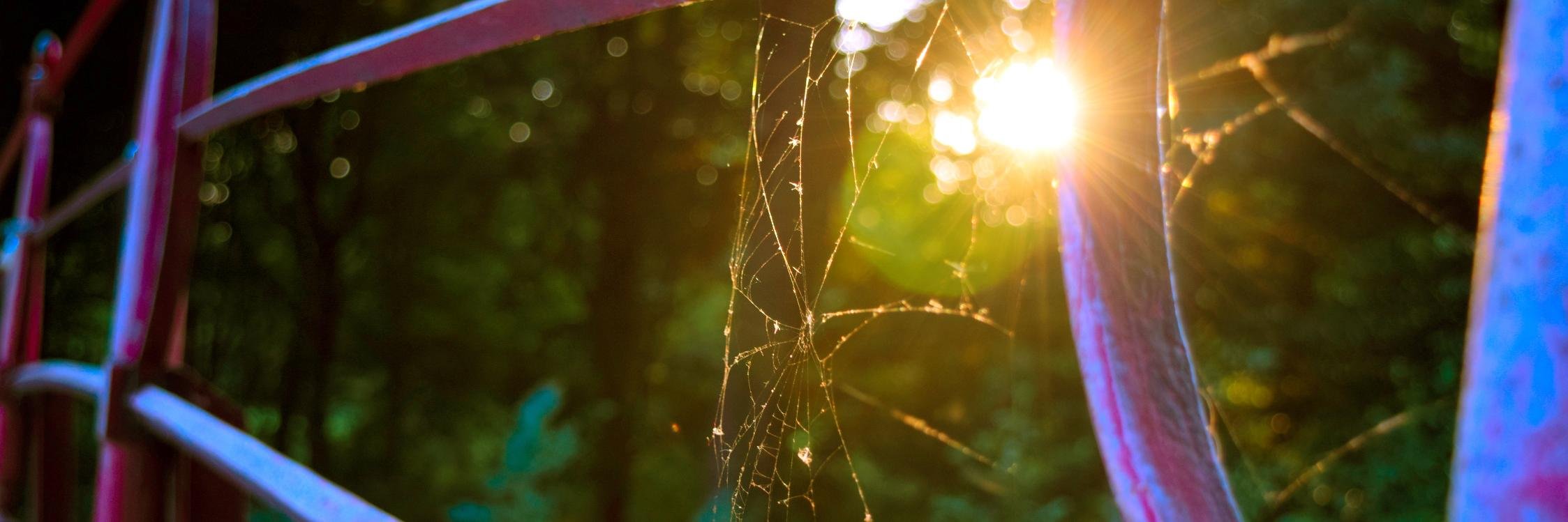 Grygorii Polinovskyi banner