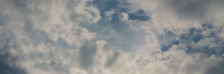 polingfranklin's profile banner image
