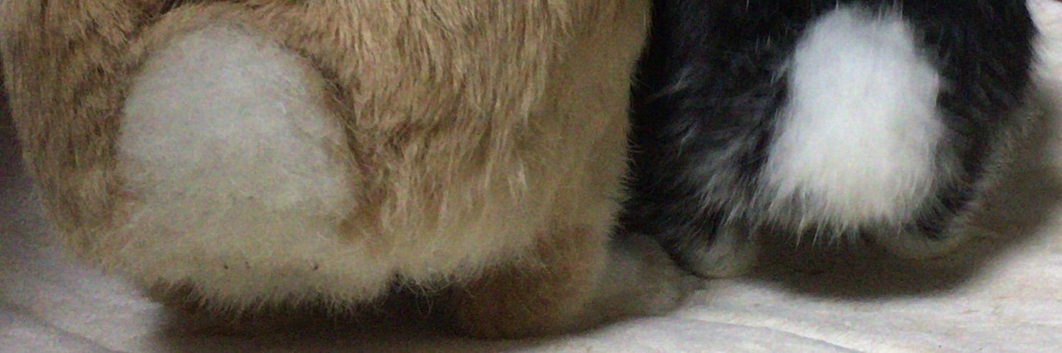 kenkenlip7's profile banner image