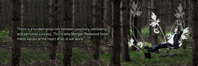 MorganRedwood's profile banner image