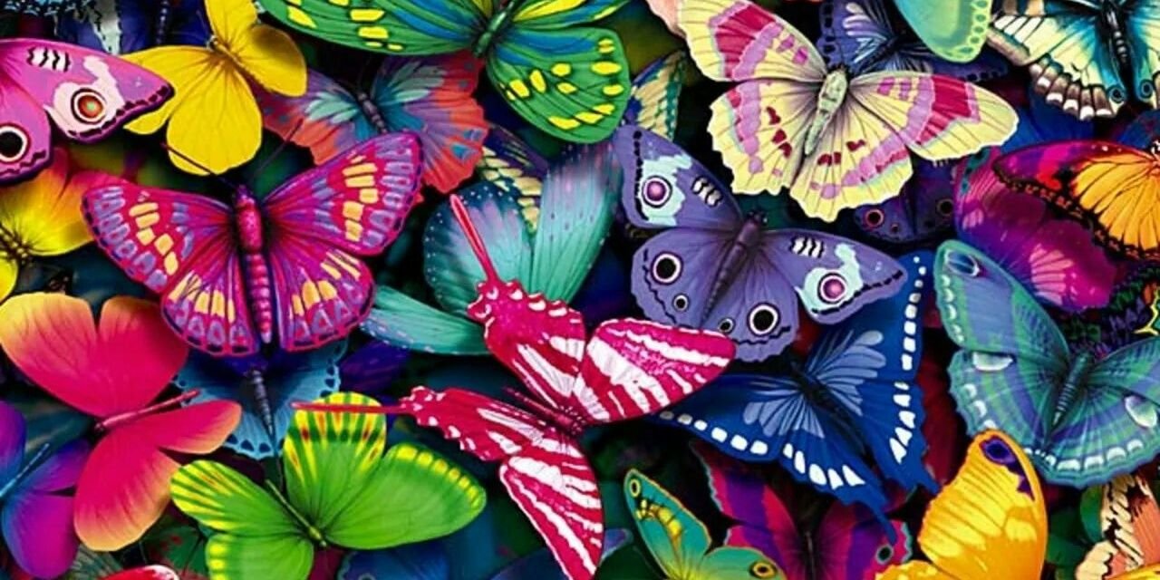 iscal2992's profile banner image