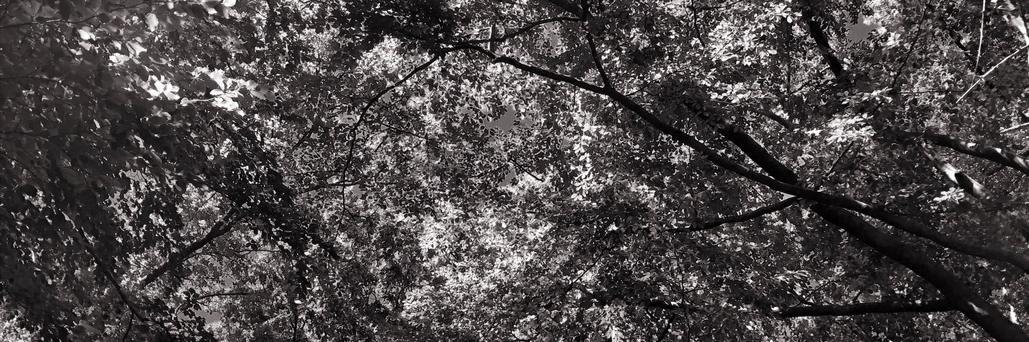 hannahstl8's profile banner image