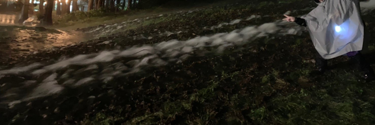 hachi10000's profile banner image
