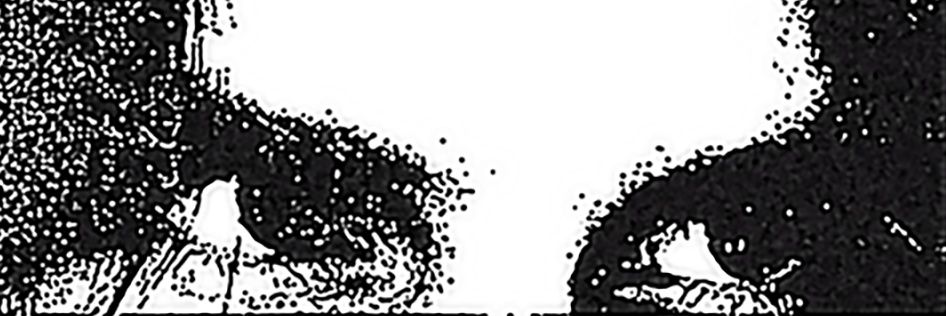 p3rp_'s profile banner image