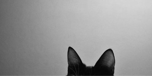 _izaoo's profile banner image