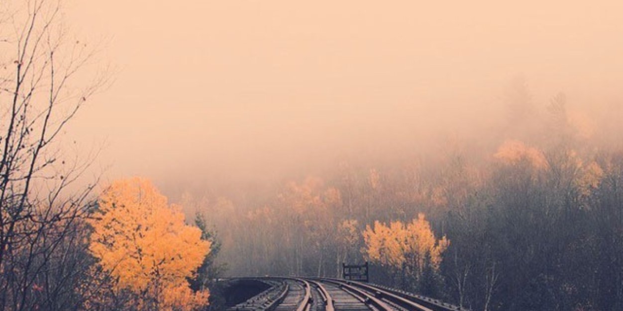 RIA banner