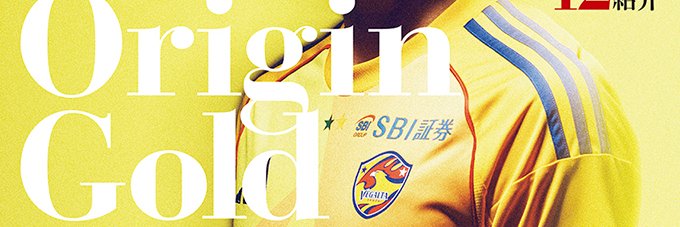 Iwate_Standard's profile banner image
