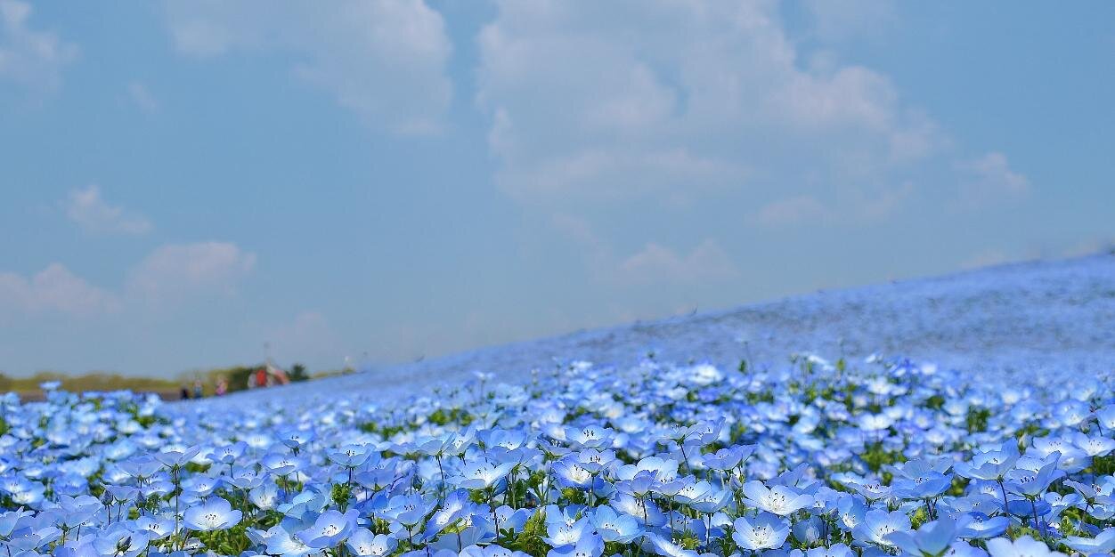 maruse12468's profile banner image