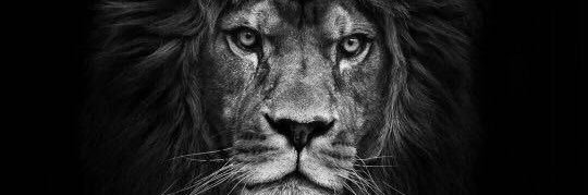 Bertaraf_LI's profile banner image