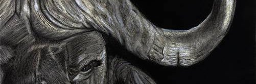 jplangman's profile banner image