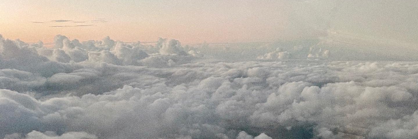 Olivia Pierson banner