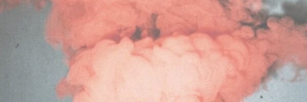 caroledecris Profile Banner