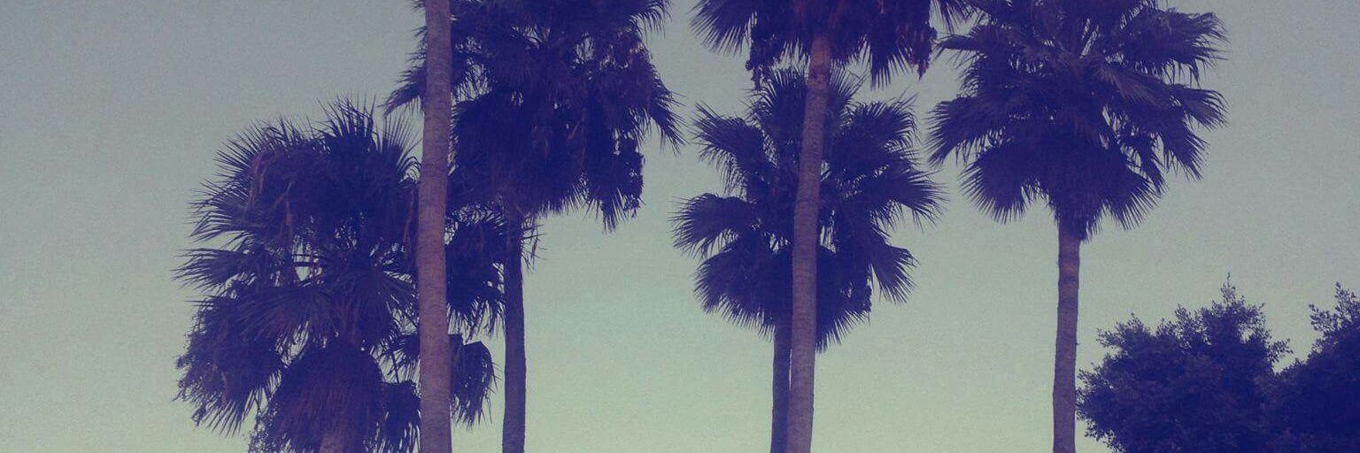 jessmace_'s profile banner image