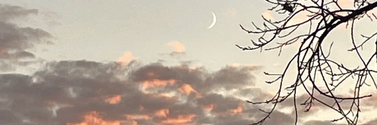 DDnotDiddy's profile banner image