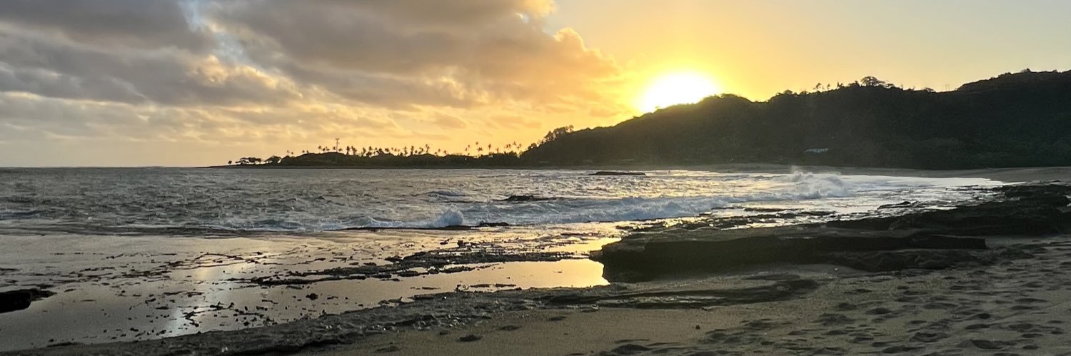 Navau 🇫🇯 banner