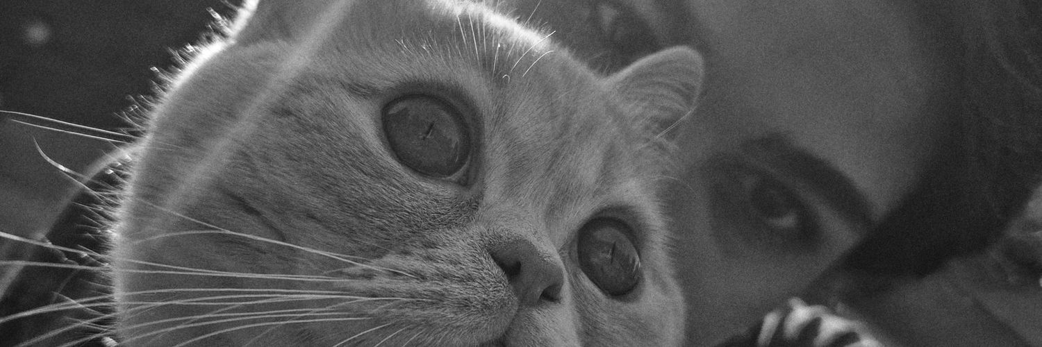 ishoniz's profile banner image