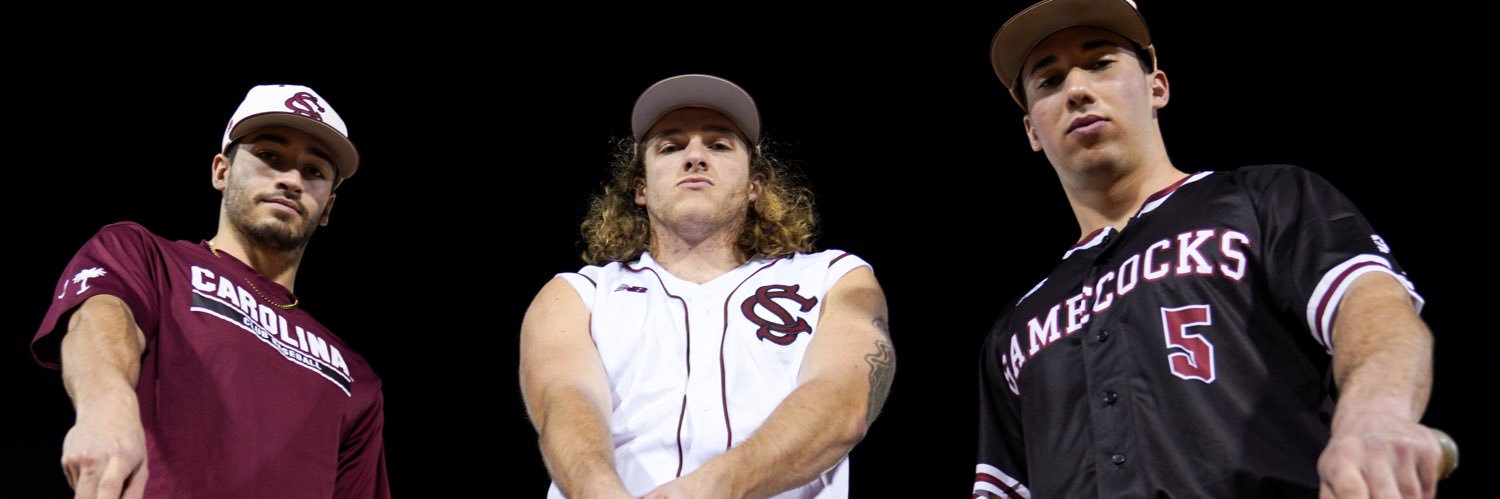 South Carolina Club Baseball banner