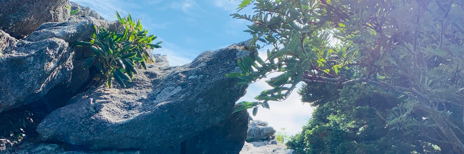RJHappel's profile banner image