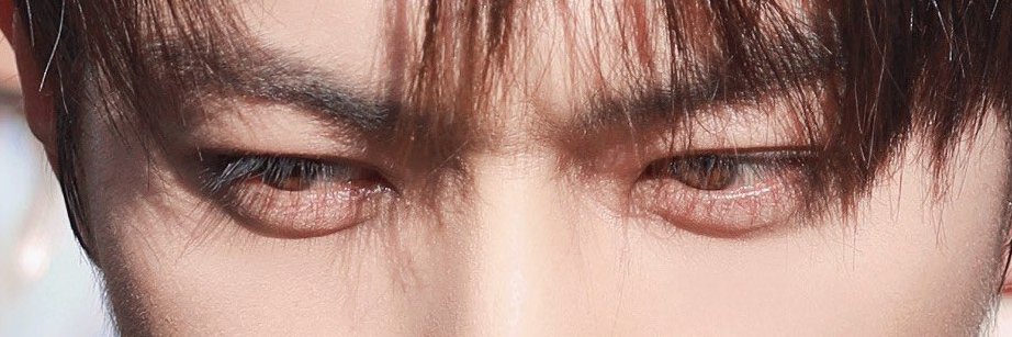 บ.ก.ปลาทู ʕ ˵ ̿–ᴥ ̿– ˵ ʔ banner
