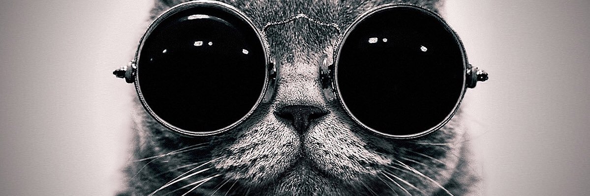 asppil1980's profile banner image