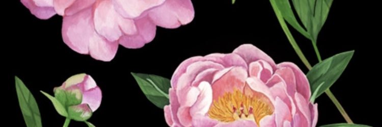 isbelalice's profile banner image