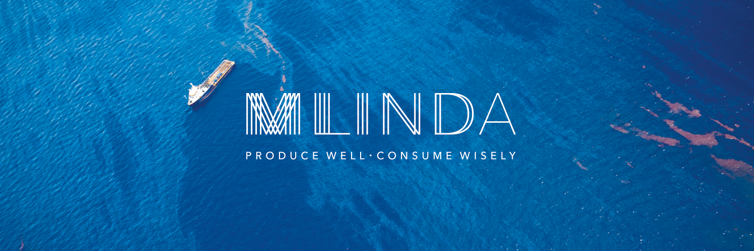 mlindaorg's profile banner image