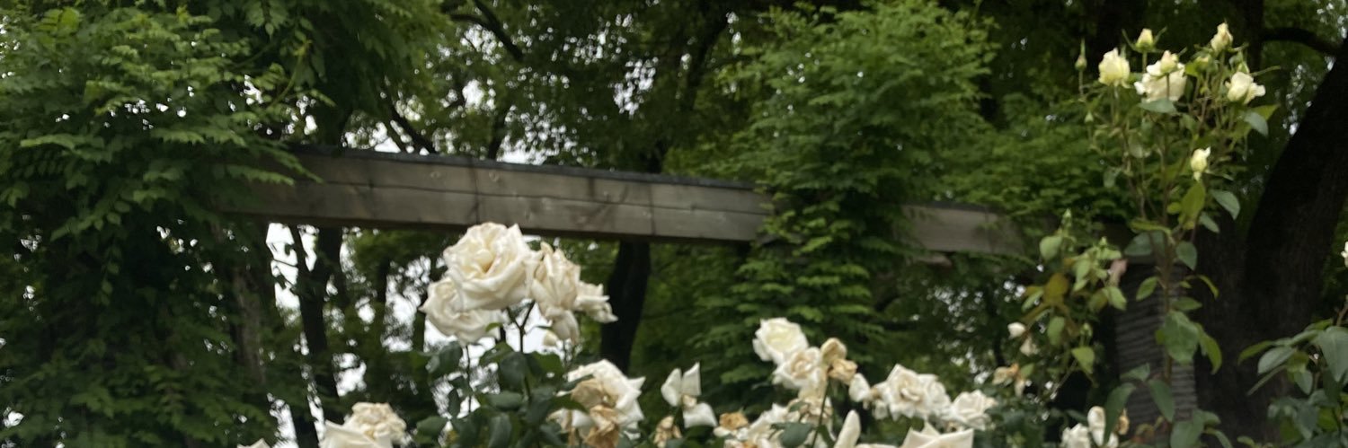 yuarashi55's profile banner image