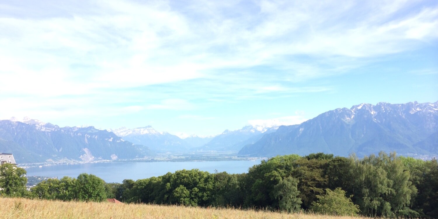 glaeser_daniel's profile banner image