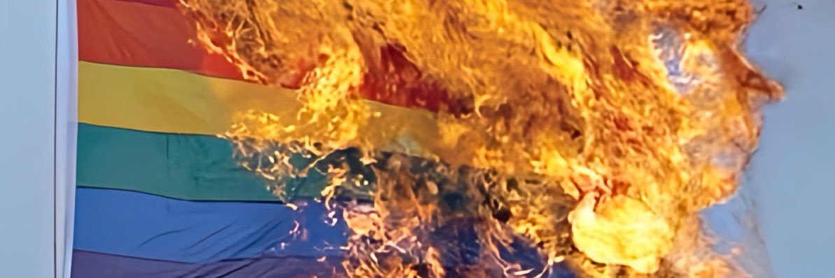 Texan Tiger banner