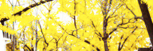 caradelevallgdr's profile banner image